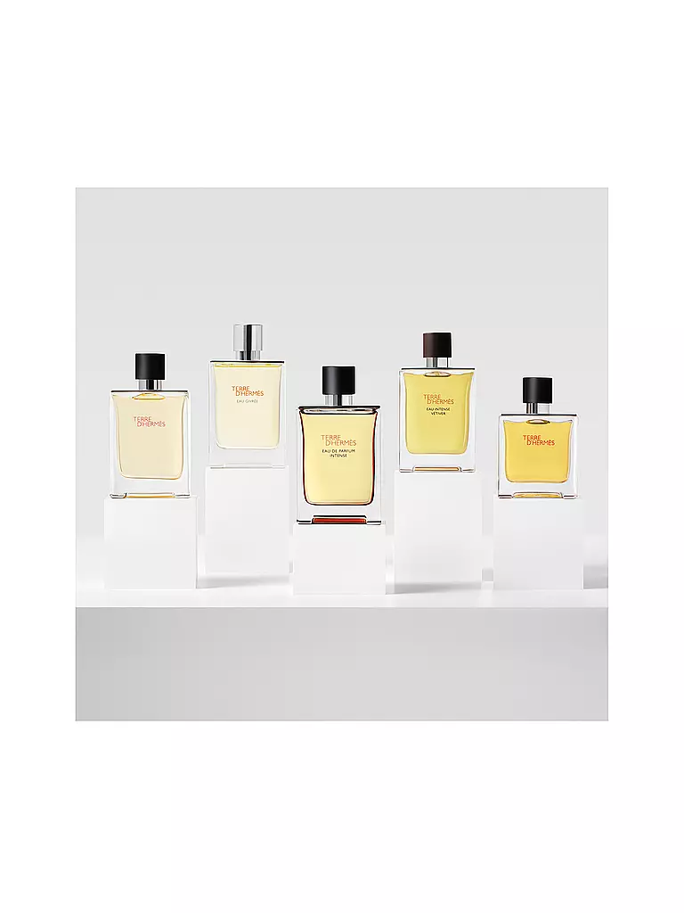 HERMÈS | Terre d'Hermès Eau de Parfum Intense Refillable 100ml | 