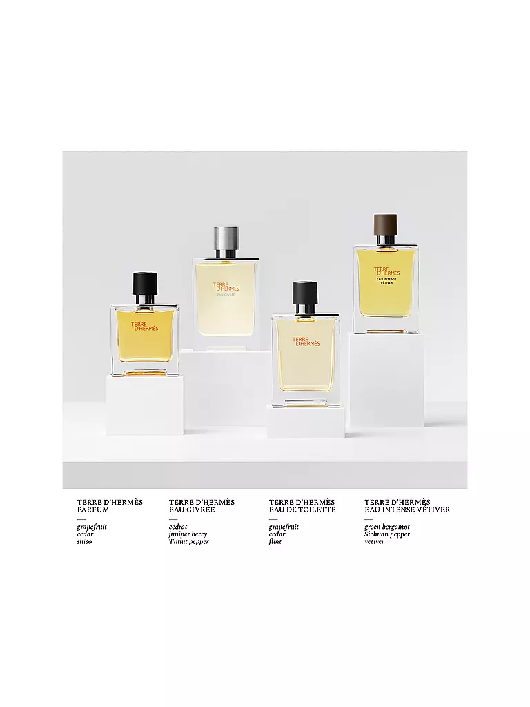 HERMÈS | Terre d'Hermès Eau Givrée Eau de Parfum Refill 200ml | 