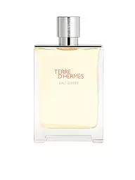 HERMÈS | Terre d'Hermès Eau Givrée Eau de Parfum Refill 200ml | Aucune couleur
