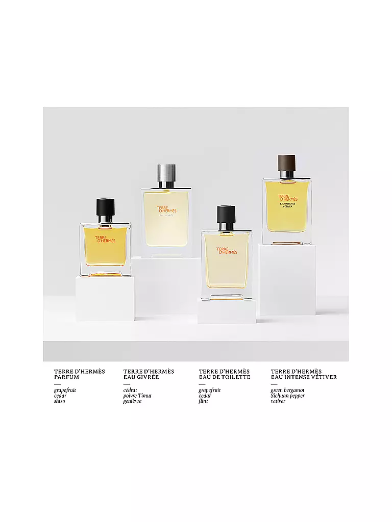 HERMÈS | Terre d'Hermès Eau Givrée Eau de Parfum Refillable Spray 50ml | 