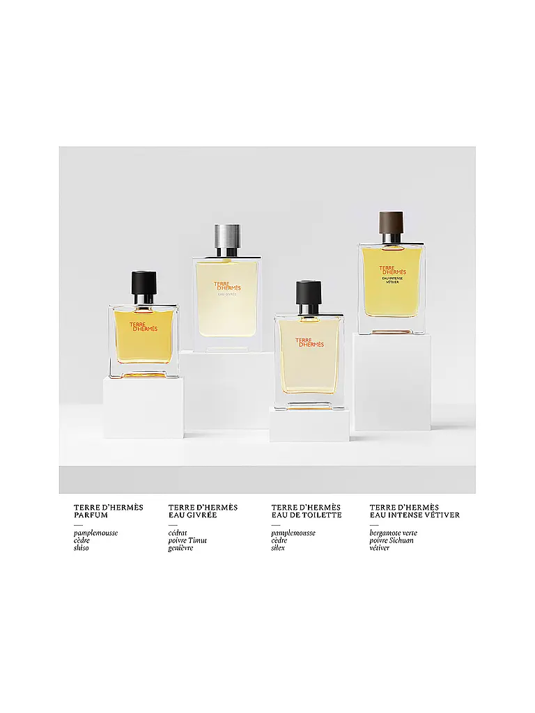 HERMÈS | Terre d'Hermès Flacon Recharge Parfum 125 ml | 