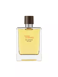 HERMÈS | Terre d’Hermès Eau Intense Vétiver Eau de Parfum 100ml | Aucune couleur