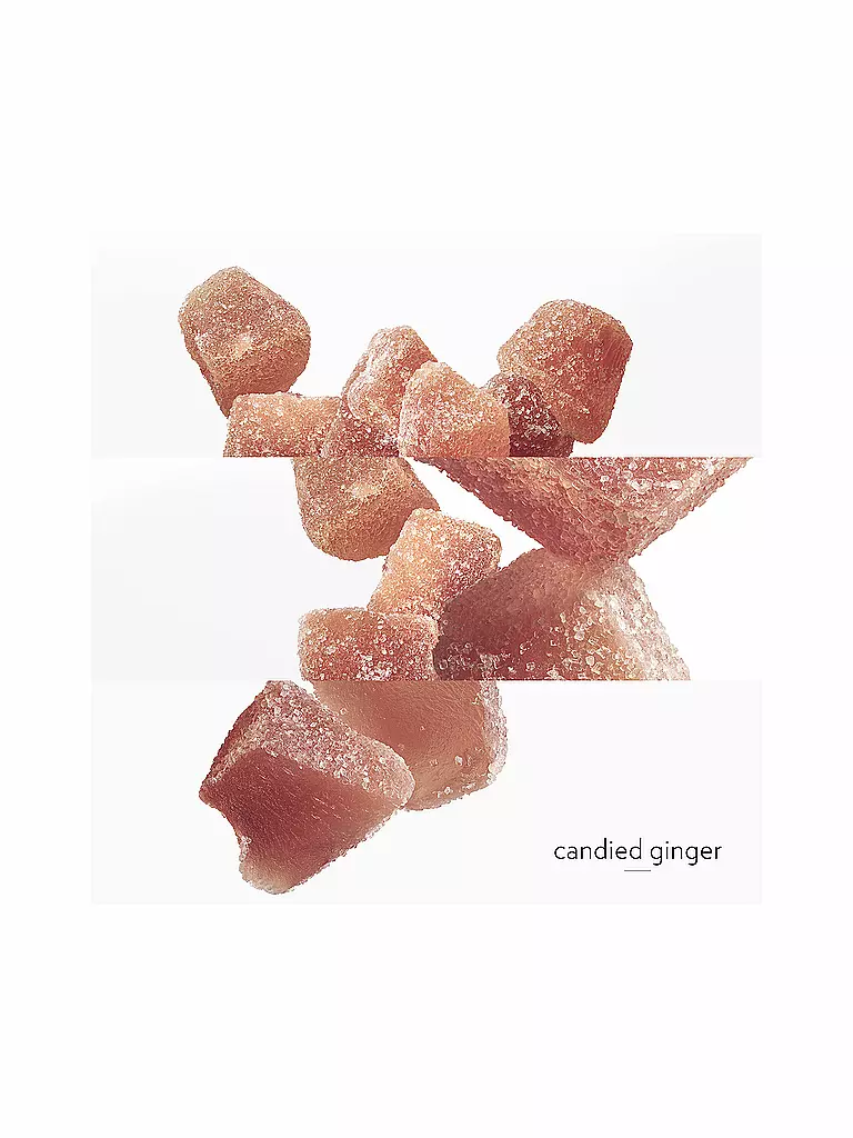 HERMÈS | Twilly Eau Ginger Eau de Parfum 30 ml | 