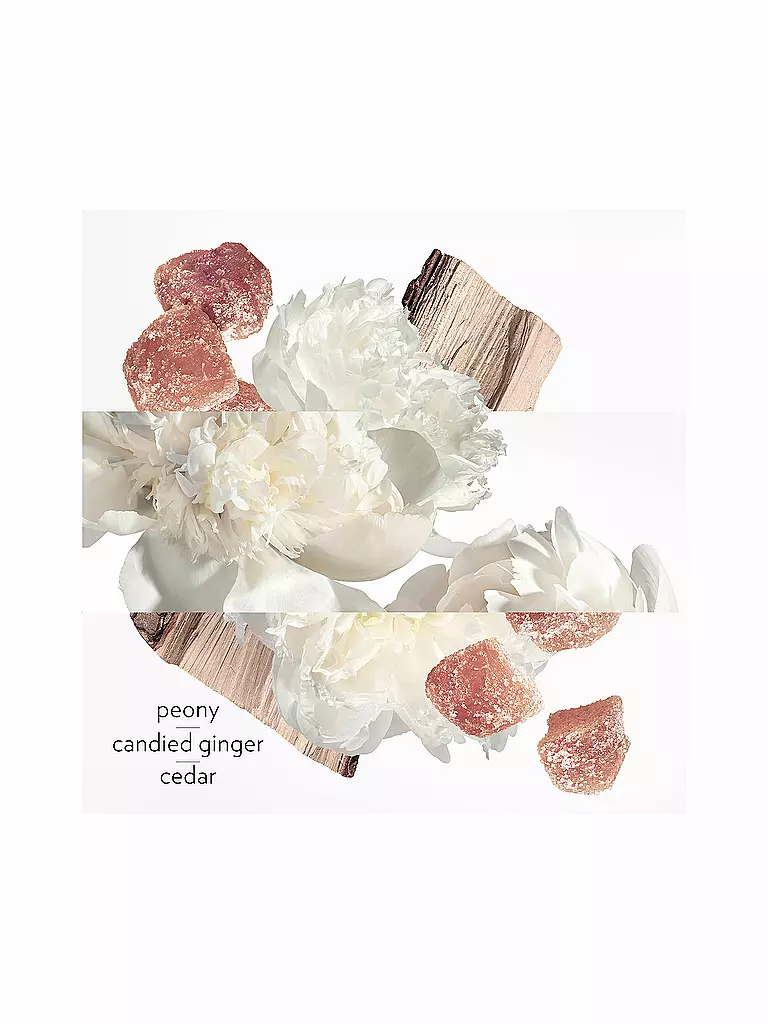 HERMÈS | Twilly Eau Ginger Eau de Parfum 50 ml | 