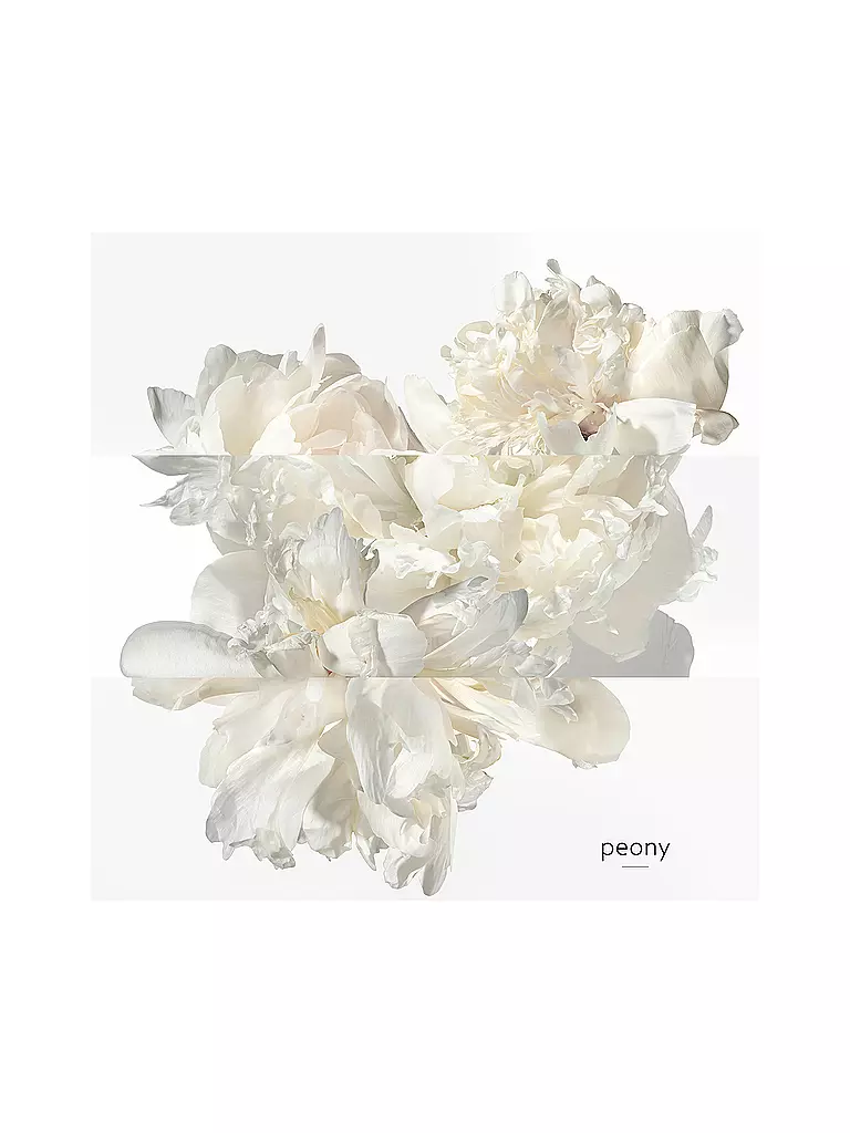 HERMÈS | Twilly Eau Ginger Eau de Parfum 50 ml | 