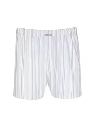 ISA | Boxer gris | Gris clair