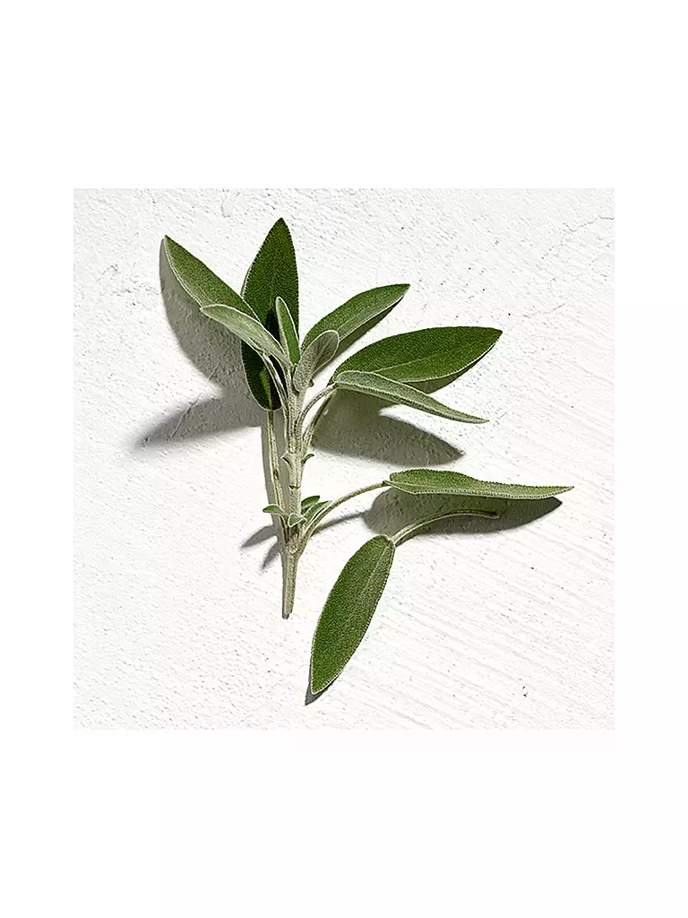 JIL SANDER | Sun Man Parfum Natural Spray 40ml | Aucune couleur