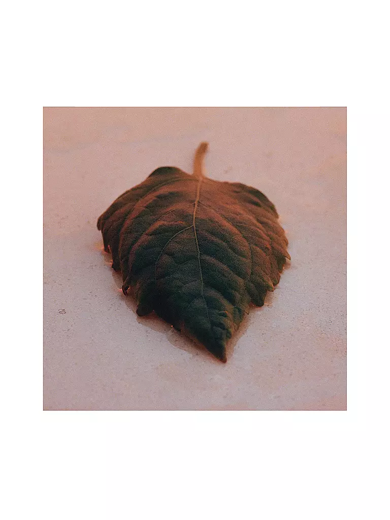 JIL SANDER | Sunset Eau de Parfum Intense 75ml | Aucune couleur