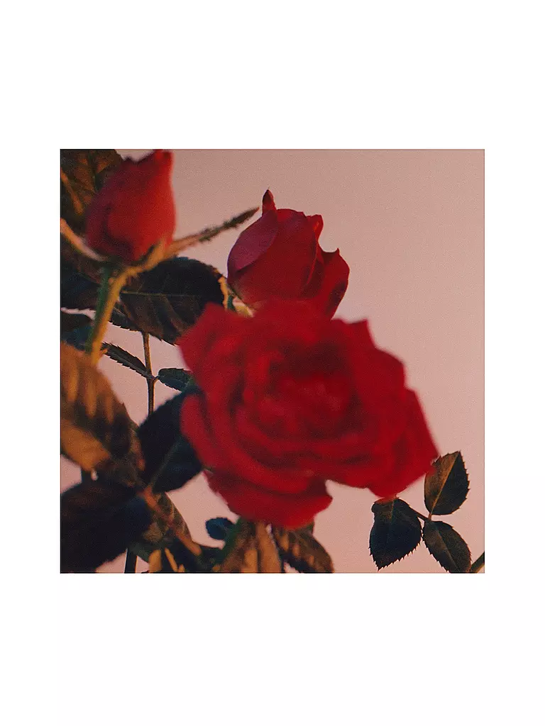 JIL SANDER | Sunset Eau de Parfum Intense 75ml | Aucune couleur