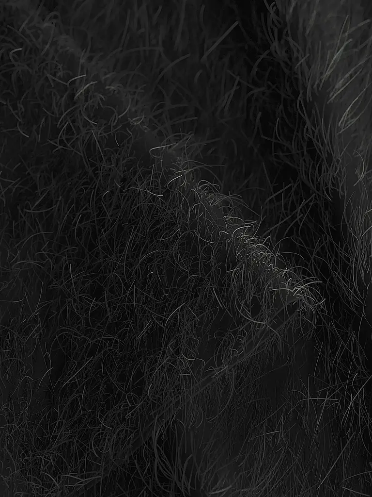 JOOP | Nom du produit: Blusenshirt | Noir