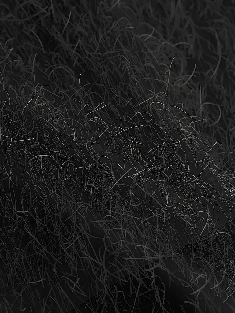 JOOP | Nom du produit: Blusenshirt | Noir