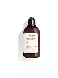 L'OCCITANE | Après-shampooing Douceur & Équilibre 250 ml | Aucune couleur