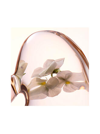 LANCASTER | Skin Essentials Lotion Tonique Adoucissante Perfectrice 400 ml