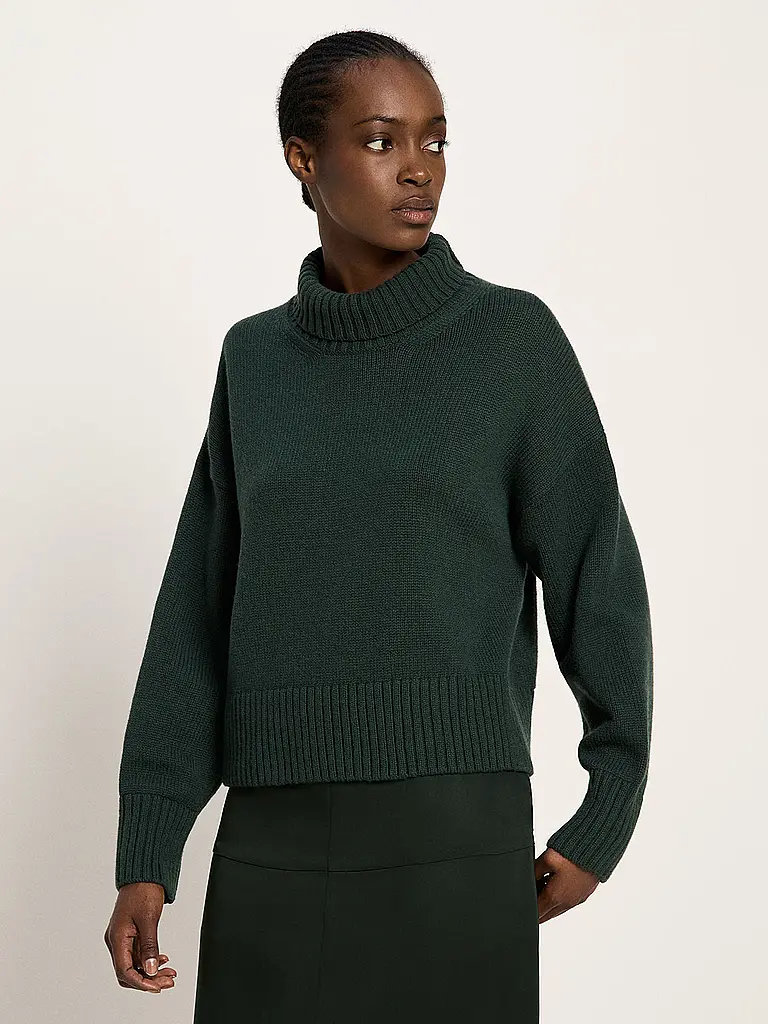 LANIUS | Pull à col roulé | 
