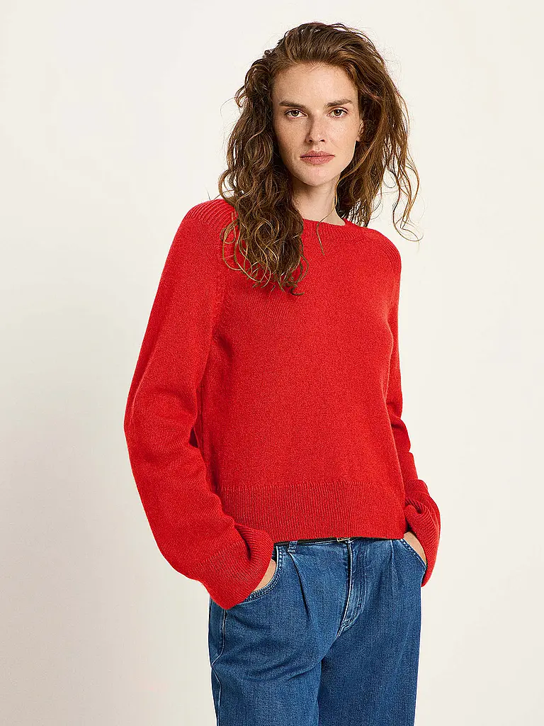 LANIUS | Pull Coupe Courte | 