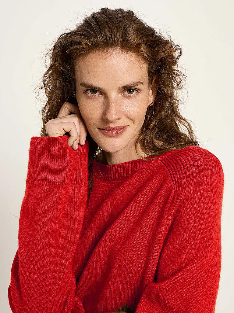LANIUS | Pull Coupe Courte | 