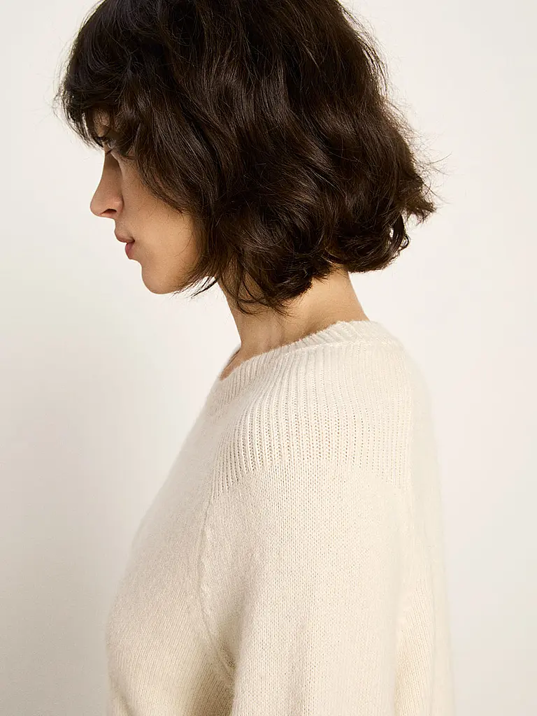LANIUS | Pull Coupe Courte | 