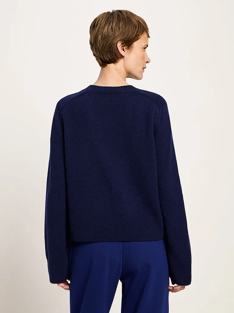 LANIUS | Pull court | 