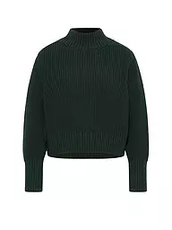 LANIUS | Pull | Vert foncé
