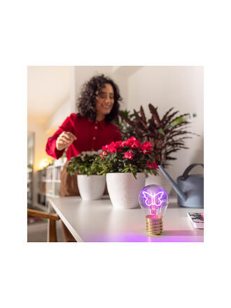 LEGAMI | Lampe de table Papillon