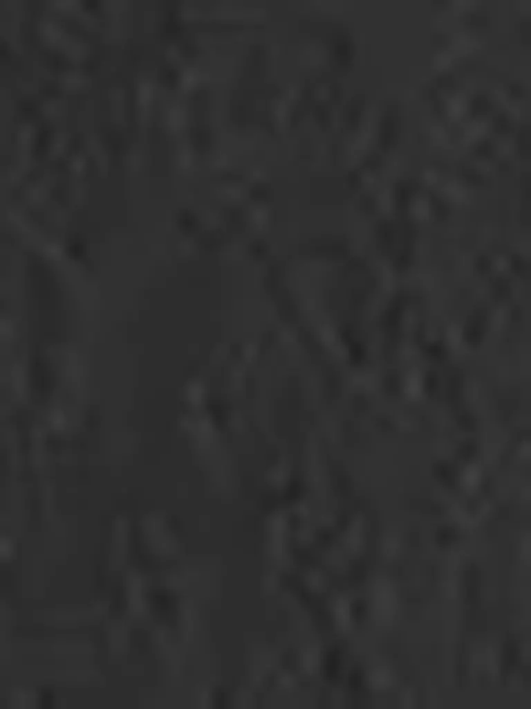LEVI'S® | Jeans Dad Fit BAGGY DAD | Noir