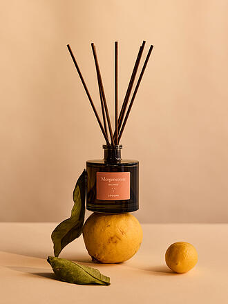 LOOOPS | Diffuseur à bâtonnets 100ml Morgensonne