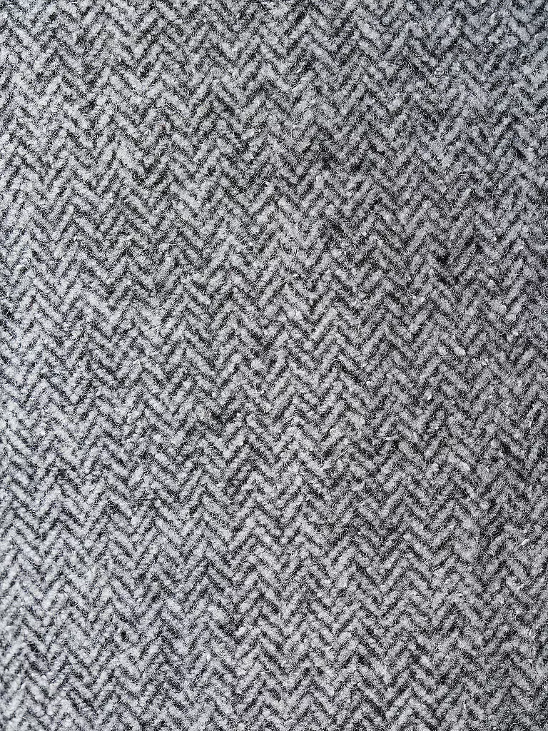LUIS TRENKER | Trachtensakko LUSANDRO | Gris clair