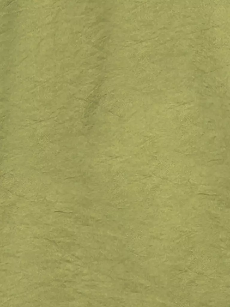 LUISA CERANO | Bluse  | Vert