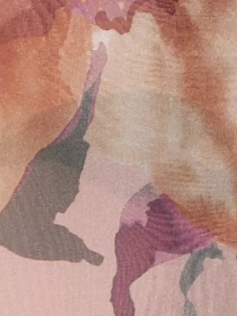 LUISA CERANO | Bluse | Rose