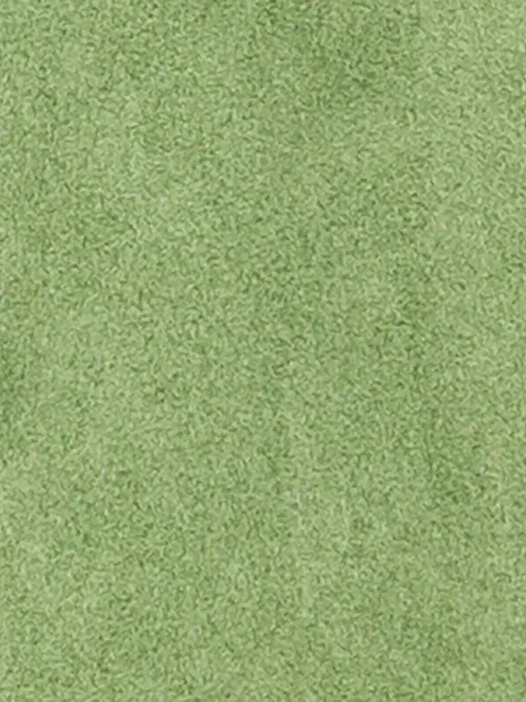 LUISA CERANO | Lederjacke | Vert clair