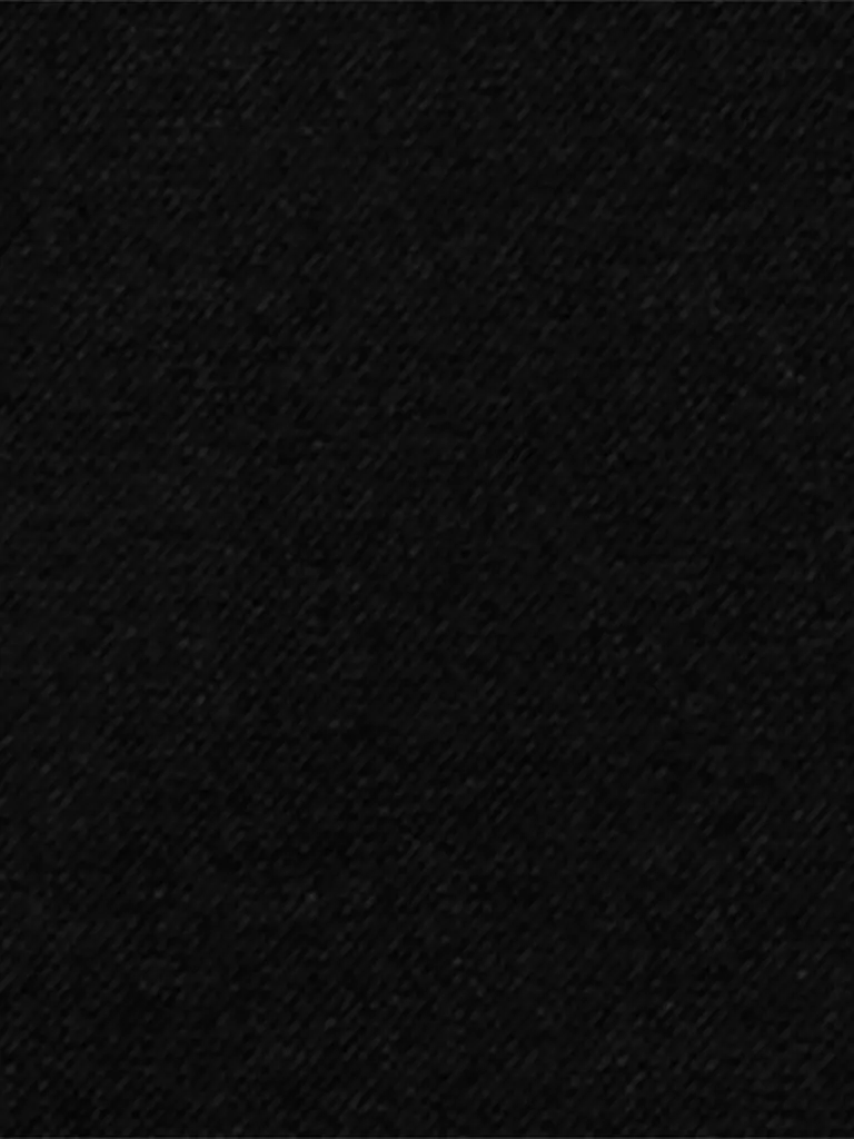 LUISA CERANO | Marlenehose  | Noir