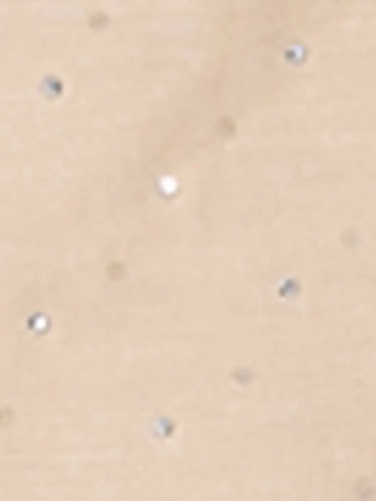 LUISA CERANO | Nom du produit: Midirock
Marque: LUISA CERANO
Couleur: camel
Catégories: Mode,Femme

Matériel: Lyocell
Motif: Uni
Style: Pure
Détails: Strass | Camel