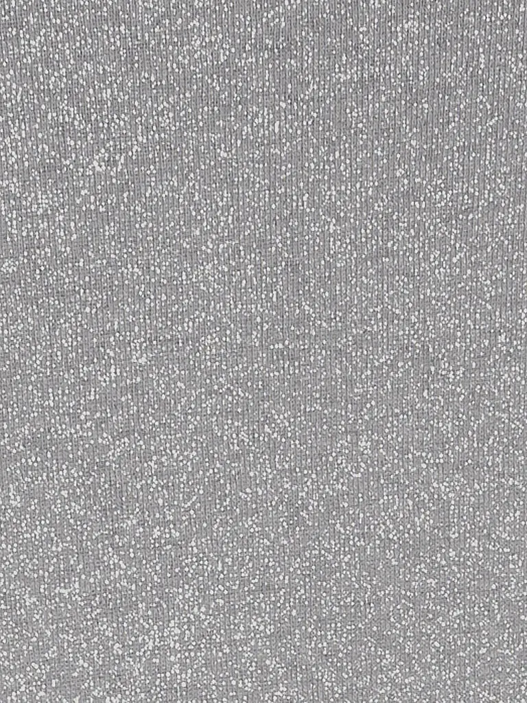 LUISA CERANO | Pull à col roulé | Argent