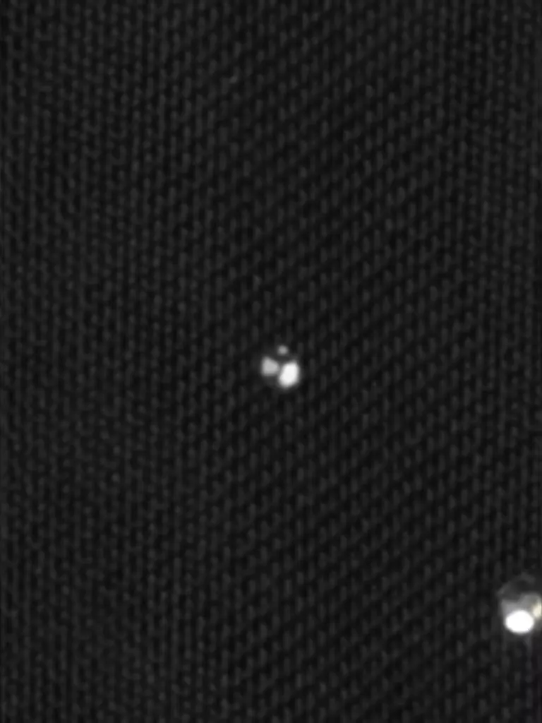 LUISA CERANO | Rollkragenshirt | Noir