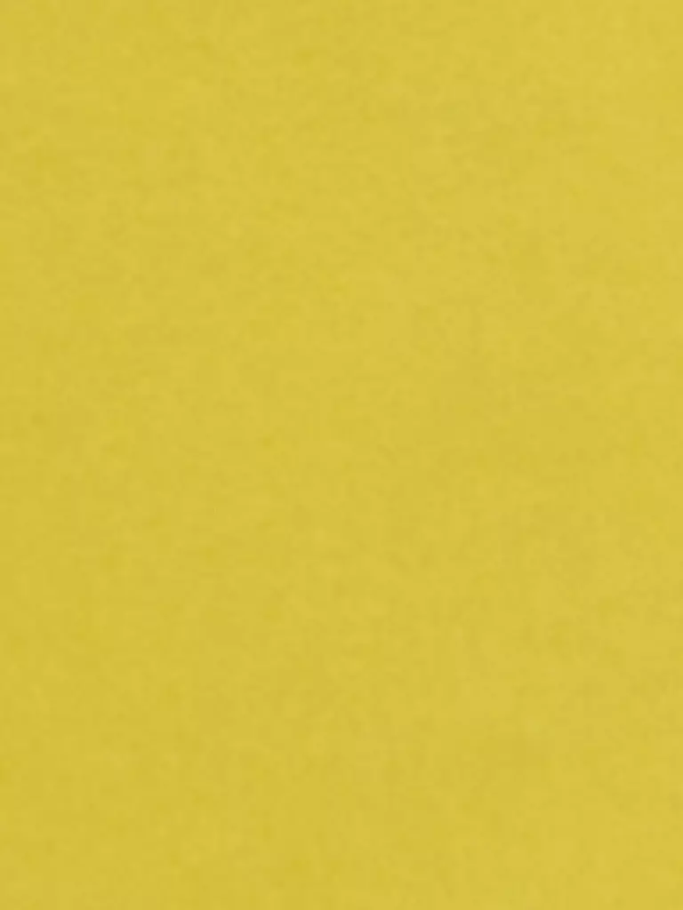LUISA CERANO | Shorts | Jaune