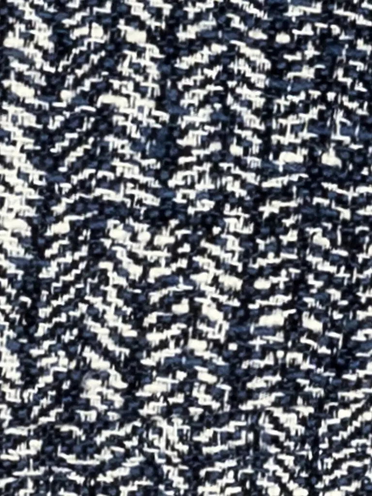 LUISA CERANO | Veste | 