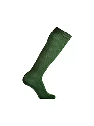 LUISE STEINER | Chaussettes hautes (longues) vertes | Vert