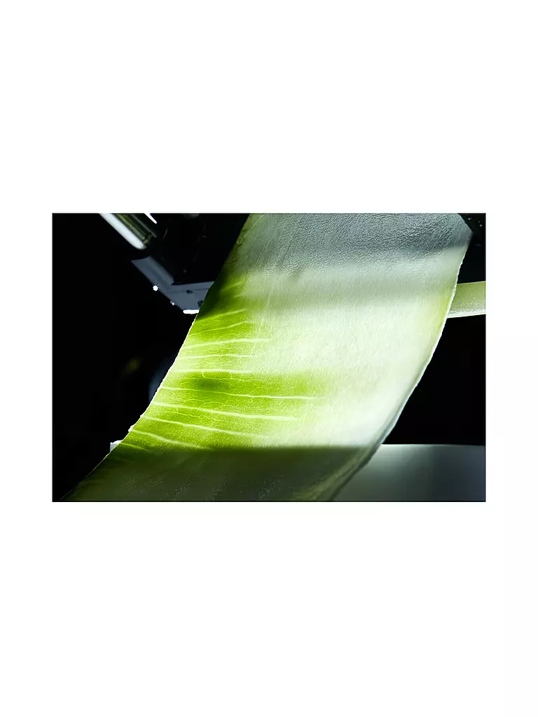 LURCH | Coupe-légumes en spirales Catto gris fer/blanc | Blanc