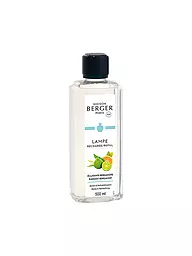 MAISON BERGER PARIS | Ambre Poudré - Parfum Lampe Berger 500ml | Transparent