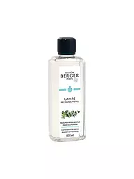 MAISON BERGER PARIS | Ambre Poudré - Parfum Lampe Berger 500ml | Transparent