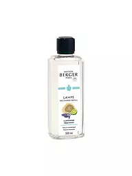 MAISON BERGER PARIS | Ambre Poudré - Parfum Lampe Berger 500ml | Transparent