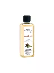 MAISON BERGER PARIS | Ambre Poudré - Parfum Lampe Berger 500ml | Transparent