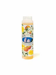 NESTI DANTE | Gel douche Capri 300ml | Aucune couleur