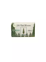 NESTI DANTE | Savon - Dei Colli fiorentini Cypress Tree 250g | Vert foncé