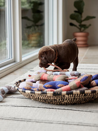 OYOY | Jouet pour chien ASHI Medium Corail/Marron