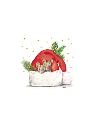 PAPER-PRODUCTS | Serviettes de Noël 33x33cm | Blanc
