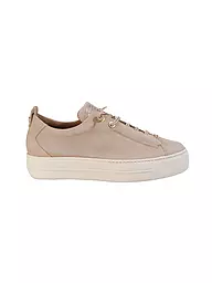 PAUL GREEN | Sneaker | Marron