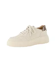 PAUL GREEN | Sneaker | Beige