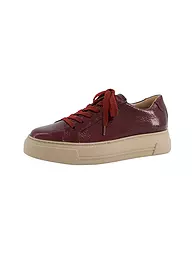 PAUL GREEN | Sneaker | Rouge foncé