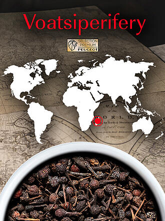 PEUGEOT | Poivre sauvage Voatsiperifery Madagascar 3x20g